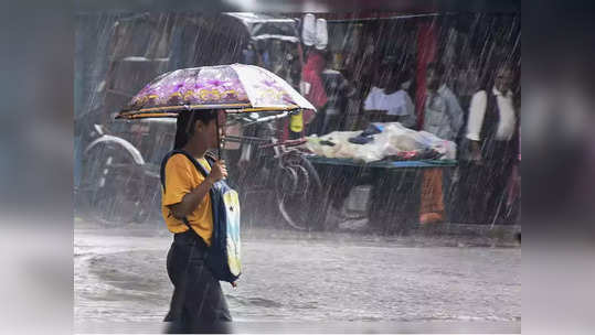 Maharashtra Weather: राज्यात पावसाची असमान कृपा'वृष्टी', एकीकडे मुसळधार तर दुसरीकडे तूट