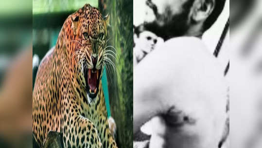 Leopard Attack : शेतकरी बिबट्याशी झुंजला आणि जिंकलाही! भररस्त्यातील थराराने सर्वच झाले अवाक्, नेमकं काय घडलं?