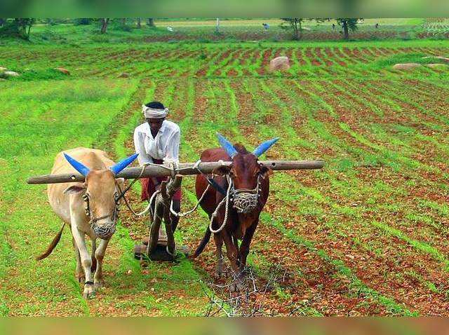 भारत में इतने सारे लोग खेती क्यों करते हैं?