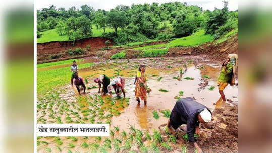 आता करु भातलावणी...