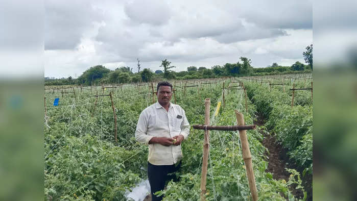 अमरावतीच्या शेतकऱ्याचे यश