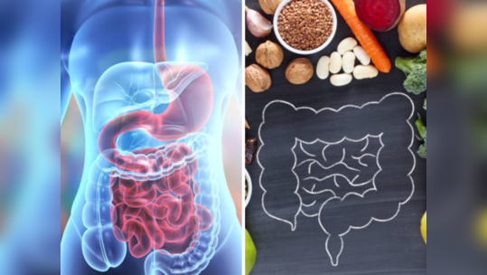 पावसाळ्यातील पचनाच्या समस्यांपासून कसे दूर रहाल? तज्ज्ञांचा परफेक्ट उपाय