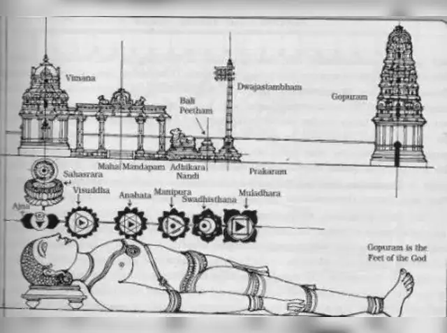 मानव शरीर की संरचना, Manav Sharir ki Sanrachna in Hindi