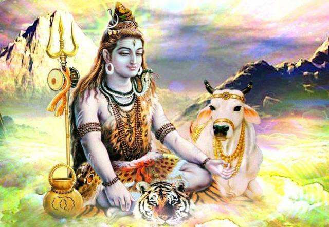 जानिए क्यों शेर की खाल पर ही विराजमान हैं भगवान शिव...!!