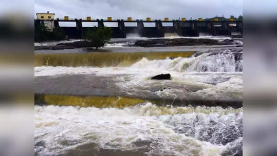 राज्यातील धरणांत केवळ ६१ टक्केच पाणी; तुमच्या जिल्ह्यातील धरण किती टक्के भरलं? वाचा लिस्ट...