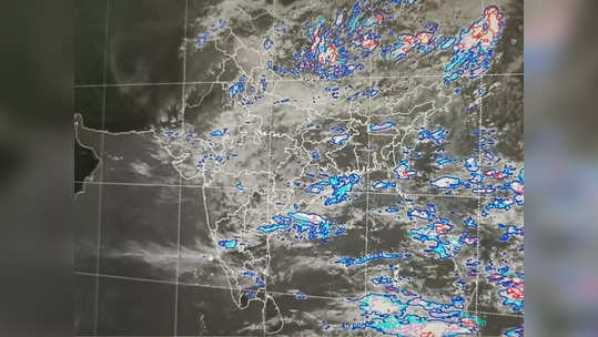 Monsoon 2023: विदर्भात मान्सूनचं कमबॅक कधी होणार, हवामान विभागाकडून अपडेट, पाऊस कधी पडणार, जाणून घ्या