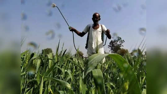 बोगस बियाणे विकणाऱ्या कृषिकेंद्रांवर कारवाईचा बडगा; हिंगणा-कामठीत थेट परवाने निलंबित