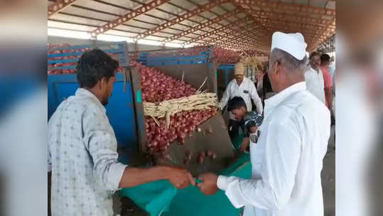 कांदाप्रश्न पेटणार! कांद्यावर ४० टक्के निर्यातशुल्क; कांदा उत्पादक संघटना आक्रमक