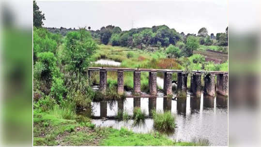 मराठवाड्यात पाणीचिंता; पावसाने दडी मारल्याने लघु प्रकल्प कोरडेठाक, कोणत्या धरणात किती पाणी?