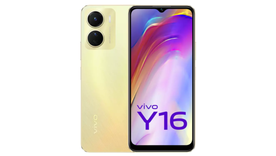 स्वस्त स्मार्टफोन खरेदी करायचा आहे? थोडे दिवस थांबा; Vivo Y17s भारतीय सर्टिफिकेशन साइटवर लिस्ट, पाहा माहिती