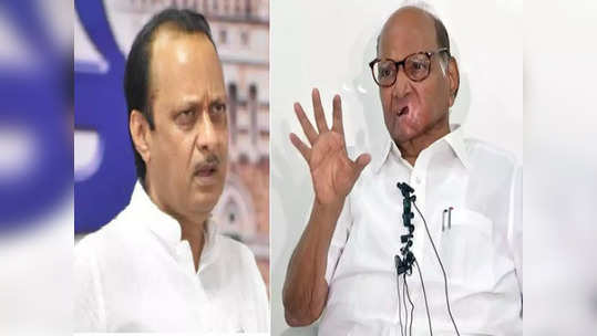 Sharad Pawar: अजित पवार आमचेच नेते! शरद पवारांच्या वक्तव्याने राजकीय वर्तुळात चर्चांना उधाण