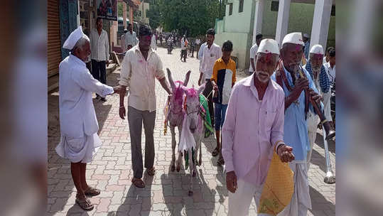 पावसानं मारली दडी; दुष्काळी गावात ग्रामस्थांनी लावले चक्क गाढवाचं लग्न, मिरवणूक काढत घातलं साकडं