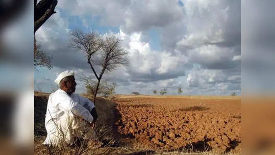 Maharashtra Rain: शेतकऱ्यांच्या चिंता वाढल्या, पावसाअभावी १५ जिल्ह्यांमधील खरिपाची पिके धोक्यात