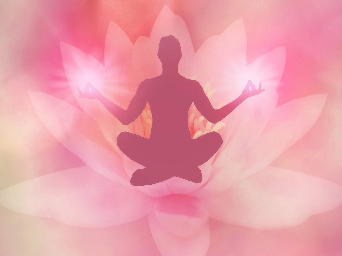 Padmasana in Hindi | Yoga Asana | Padmasan Benefits | Yoga For Weight Loss  | Yoga For Beginners - YouTube
