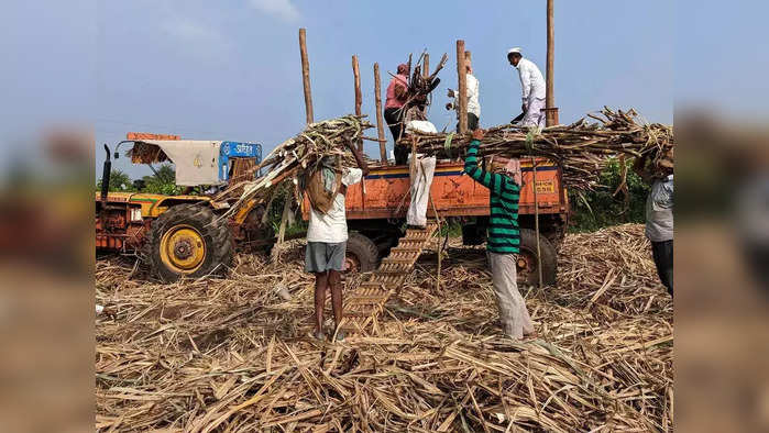 राज्य सहकारी बँकेकडून साखर कारखान्यांना कर्ज मिळणार