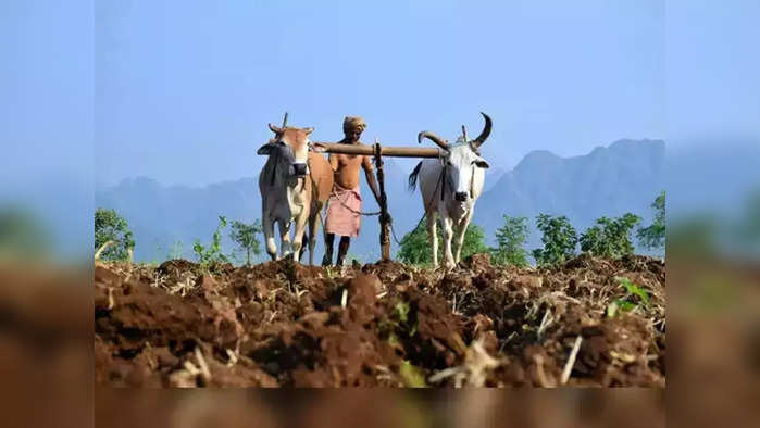 बीडमध्ये तातडीने दुष्काळ जाहीर करा; महाविकास आघाडीची मागणी