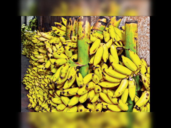 Banana prices touch 100/kg as festive season draws near