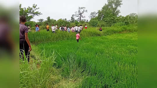 महिला कामासाठी शेतावर गेली; गवत काढण्यात मग्न होती, अचानक अनर्थ घडला, अन् गावं हळहळलं, काय घडलं?