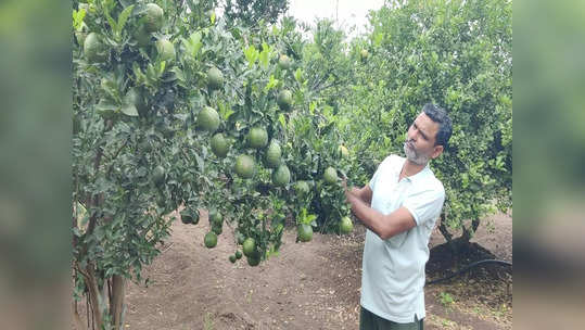 लेकरांना ज्ञानाचे धडे देत मातीत घाम गाळला; लाखोंचं उत्पन्न, शिवारातल्या शाळेत राबणाऱ्या शिक्षकाची सक्सेस स्टोरी