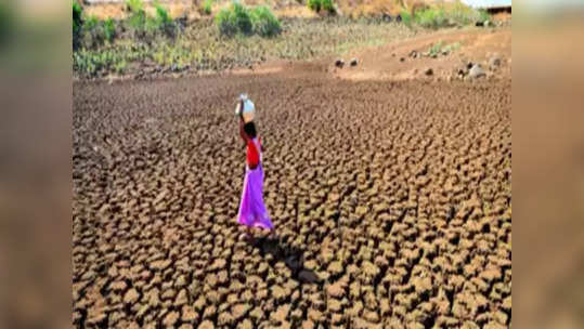 महाराष्ट्रासमोर मोठं संकट; पाणीसाठ्याची धक्कादायक आकडेवारी समोर, कोणत्या जिल्ह्यात काय स्थिती?