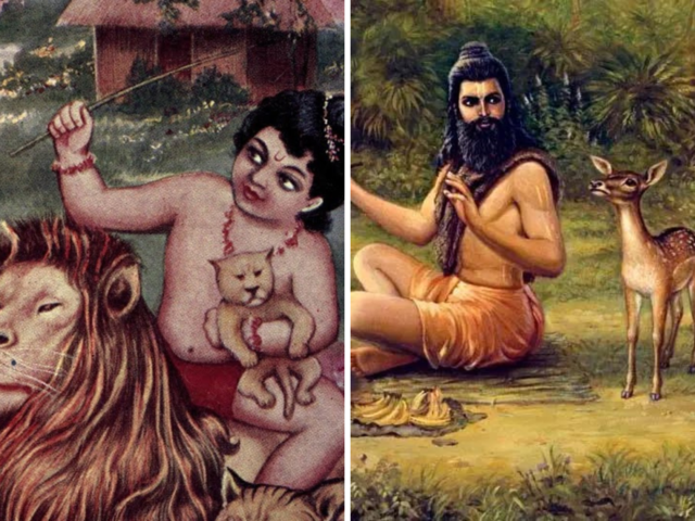 ऐसा कहा जाता है कि राजा भरत बचपन में शेरों के साथ खेलते थे