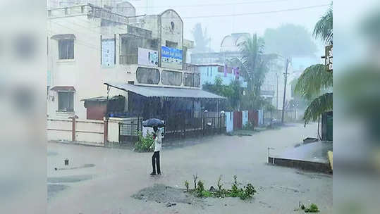 Nashik: इगतपुरीत वरुणराजाची कृपादृष्टी, शेतकरी सुखावला, २४ तासांत ४० मिलीमीटर पाऊस