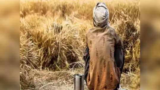 कर्जबाजारीपणाला कंटाळले, विदर्भात यंदाच्या हंगामात १,५८४ शेतकऱ्यांनी मृत्यूला कवटाळले