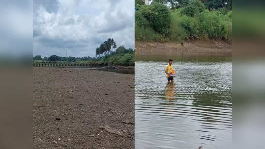 पावसानं पाठ फिरवली, सांगलीत कृष्णामाई कोरडी,गणपती मूर्ती विसर्जनाचा प्रश्न, जतच्या जनतेपुढं तर गंभीर समस्या...