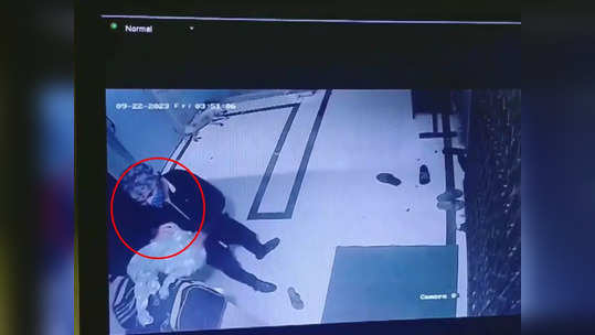 CCTV : दबक्या पावलानं येत बॅग ठेवली अन् गायब; बाळाच्या रडण्याचा आवाज येताच लोकांचा पोलिसांना फोन, काय घडलं?