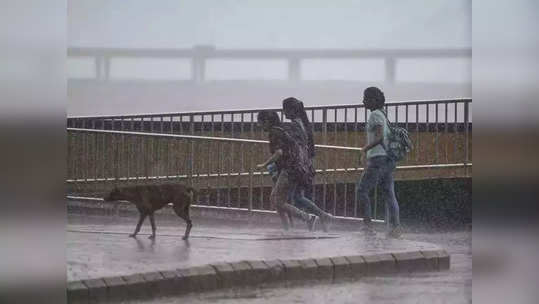 Maharashtra Rain Alert: गडगडाटासह पाऊससरी; मुंबईसह ३ जिल्ह्यांना यलो तर कुठे ऑरेंज अलर्ट? वाचा वेदर रिपोर्ट