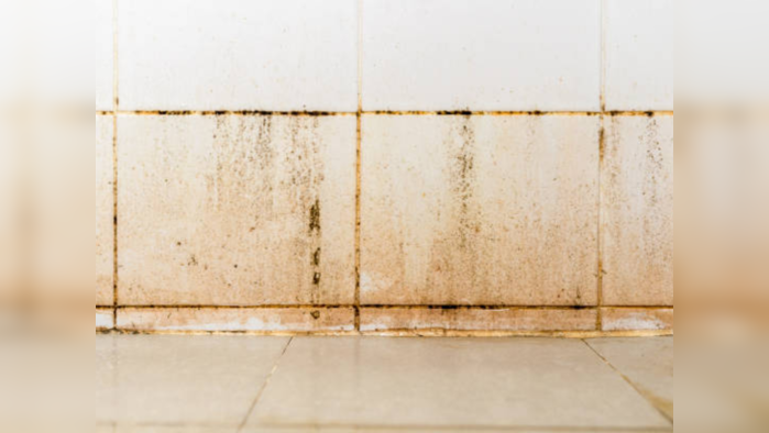 बाथरूमच्या पिवळ्या धम्मक टाईल्स एका वॉशमध्ये करा स्वच्छ, स्वस्तात मस्त उपाय