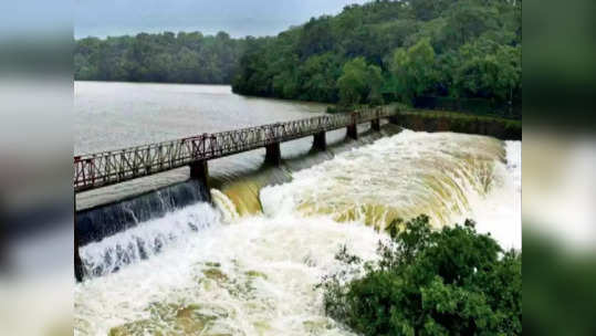 राज्यावर पाणीटंचाईची टांगती तलवार? प्रमुख ३२ धरणांत ७९ टक्केच पाणीसाठा; जाणून घ्या...