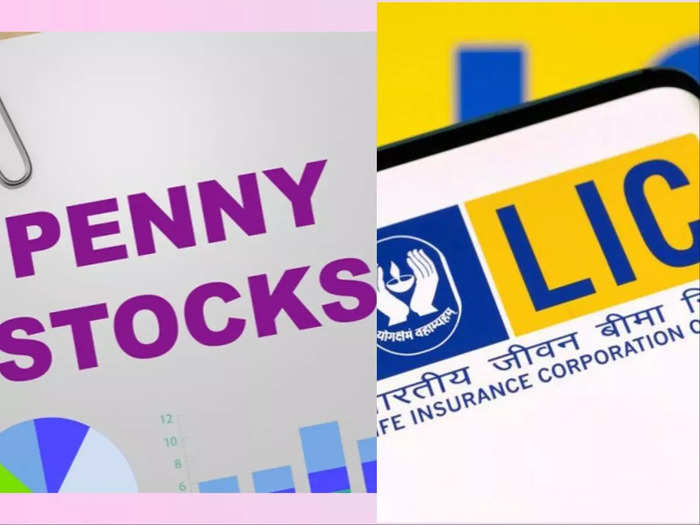 lic portfolio penny stocks below rs 100 in india