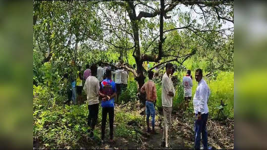 शेतात रानडुकरांसाठी लावलेल्या विद्युत सापळ्याचा शॉक लागून दोघांचा मृत्यू; घटनेनं परिसरात हळहळ