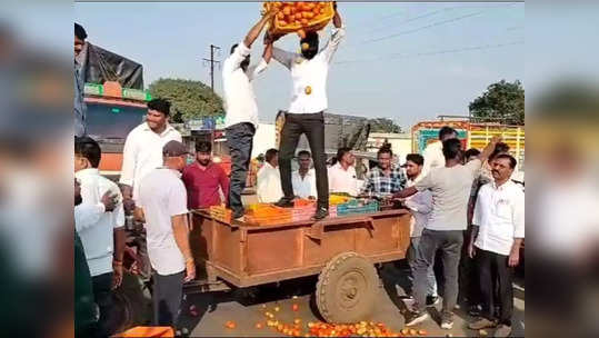 निसर्गाने तारलं मात्र बाजारभावाने मारलं, दर नसल्याने शेतकऱ्यांनी टोमॅटो रस्त्यावर फेकला