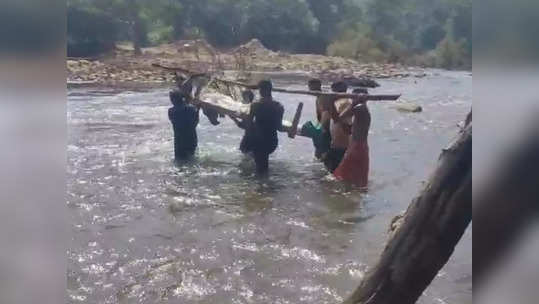 दुर्दैवी ! मरणानंतरही नरकयातना संपेनात, खाटेवर मृतदेह ठेवत नदी पार करण्याची वेळ, गडचिरोलीत भीषण वास्तव