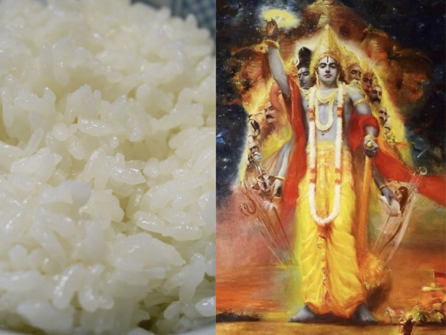 एकादशी के दिन क्यों नहीं खाए जाते चावल 