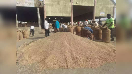 Soyabean Rate :  सोयाबीनच्या दरात किरकोळ वाढ, शासनानं खरेदी केंद्र सुरु करुन हमीभाव द्यावा, शेतकऱ्यांची मागणी