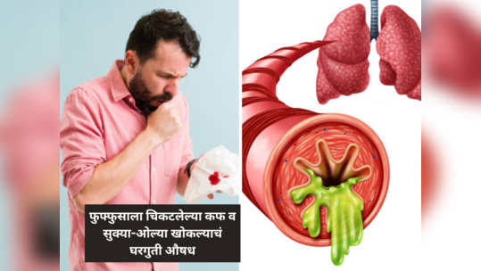 खोकल्याचं Cough Syrup जीव आणतं धोक्यात, फुफ्फुसे व घशाला चिकटलेला कफ बाहेर फेकण्यासाठी घरातील हे 5 पदार्थ उपयोगी