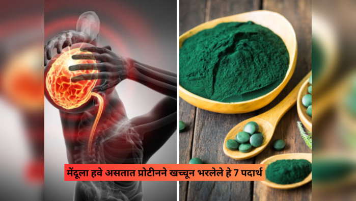 अहो, चिकन-मटण सोडा, या 7 पदार्थांत ठासून भरलंय Protein, मेंदू व हाडांना लोहचुंबकाप्रमाणे चिकटतील सर्व पोषक तत्व