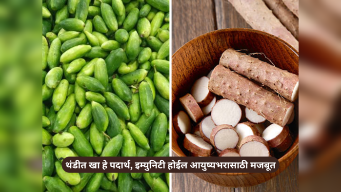 Winter Diet : Ayush Ministry म्हणते या 8 भाज्या रोज खा, सर्दी-खोकला, ताप, डेंग्यू, मलेरिया आजारांसाठी आहे यमदूत