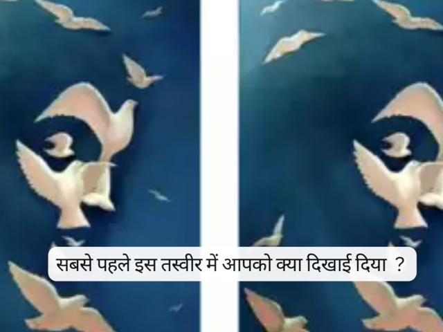 तस्वीर की पहेली 