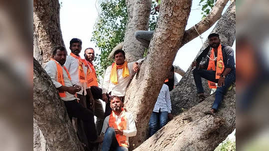 मराठा आरक्षणासाठी सामुहिक आत्महत्येचा प्रयत्न; दहा जण झाडावर चढले, फास लावून घेण्याआधीच...