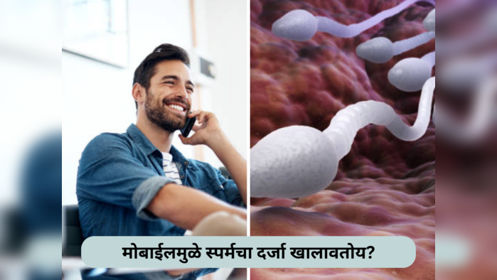 पुरूषांच्या Sperm Quality मध्ये मोबाईलमुळे जाणवतोय फरक, अभ्यासातून समोर आला धक्कादायक खुलासा