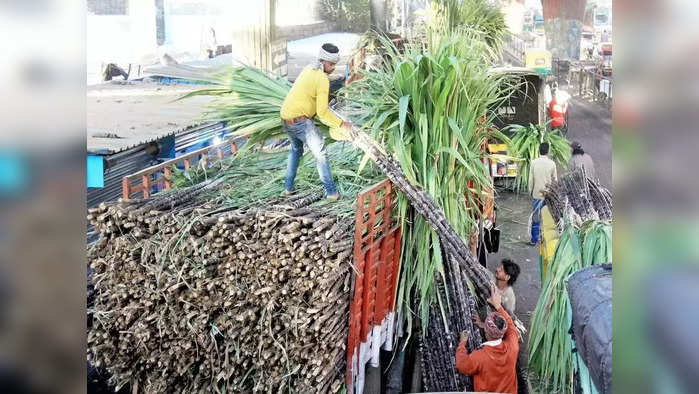 ऊस वाहतूक करणाऱ्या वाहनांसाठी आता हा नियम बंधनकारक; अन्यथा भरावा लागेल दंड