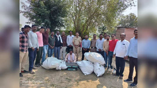 कपाशीच्या शेतात शेतकऱ्याचा भलताच उद्योग, पोलिसांचं पथकही अचंबित, ७ लाखांचा मुद्देमाल जप्त, नेमकं काय घडलं?