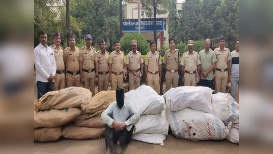 शेतकऱ्याने मक्याच्या पिकात नको ते लावलं; ६० लाखांच्या मालासह पोलिसांनी ताब्यात घेतलं, काय घडलं?