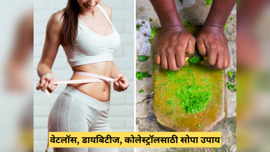 Weight Loss Ayurvedic Herb : आठवड्याच्या आतच मेणासारखी वितळेल पोटावरची चरबी, किराणामध्ये आताच घ्या हे 7 पदार्थ