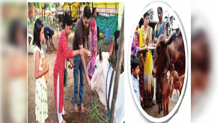 आज वसुबारस; आली आली रे दिवाई, दिवा करजो भाताचा, प्रकाशसणाला सुरुवात