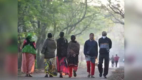 दिवाळीत गारव्याची चाहूल? राज्यात सकाळचे तापमान घसरण्याचा अंदाज